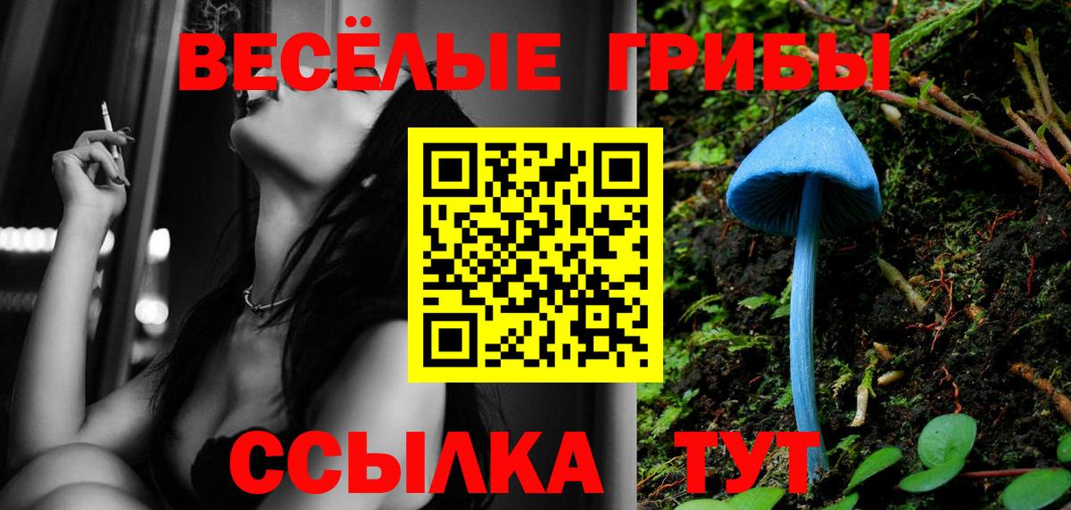 Галлюциногенные грибы Cubensis Камышлов