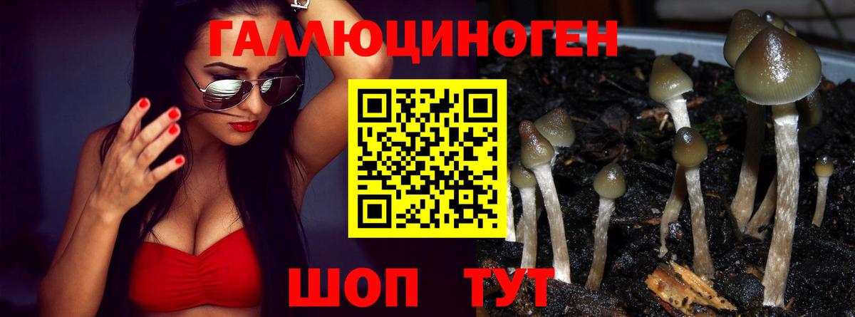 Галлюциногенные грибы ЛСД  Вход с VPN  хочу наркоту  Камышлов 