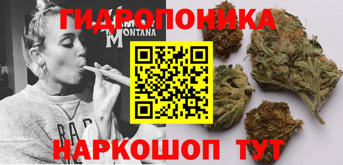 Шишки марихуана план  Бошки марихуана OG Kush  Бошки Шишки план  Камышлов  Шишки марихуана VHQ  Вход с VPN 